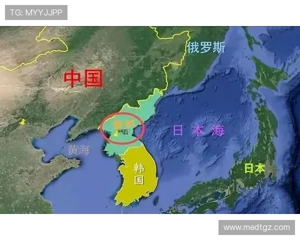 美国与俄罗斯足球对抗赛分析:历史交锋与未来展望