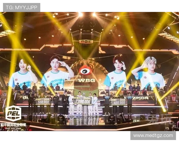 和平精英纪实：深入探讨RNG战队的蜕变与未来发展之路